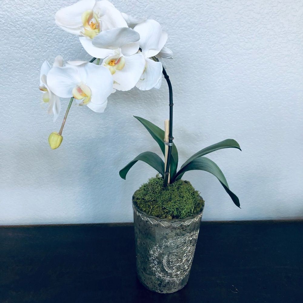 Large Orchid Silver Metallic Vase Floral Plant Decor